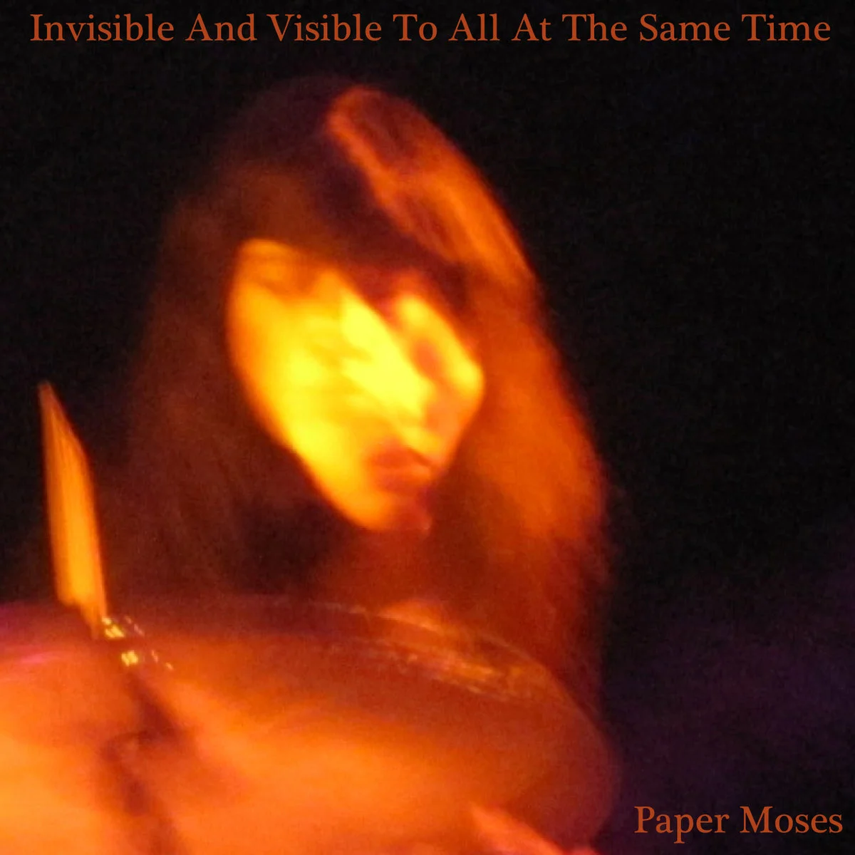 Paper Moses - Invisible And Visible To All At The Same Time album art