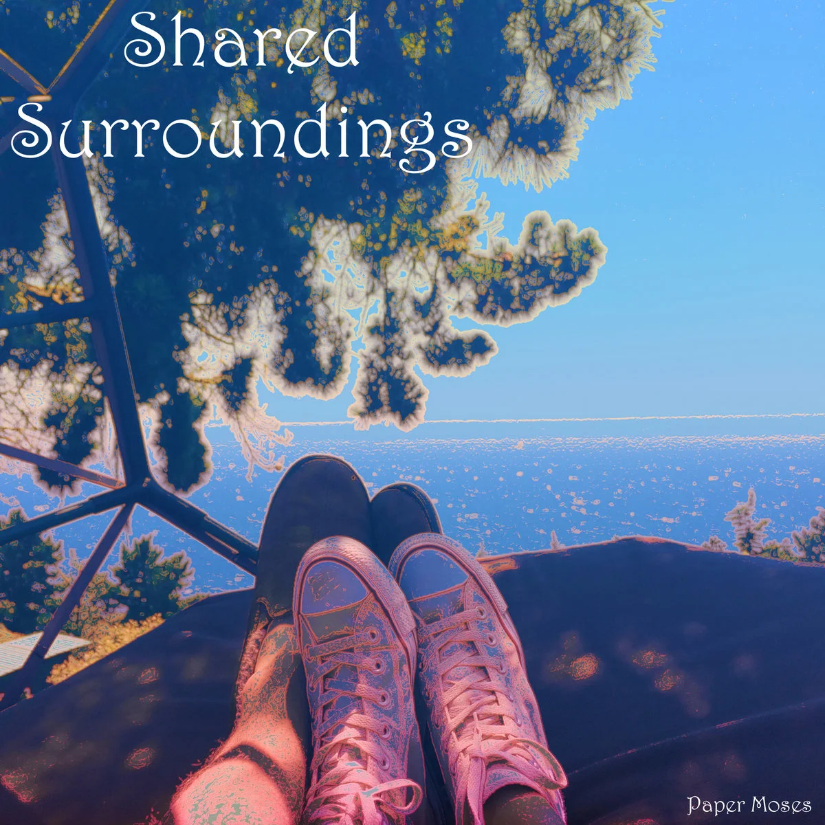 Paper Moses - Shared Surroundings album art