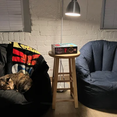 Sophie curled up on a black bean bag with a Pokemon blanket, next to a second bean bag.