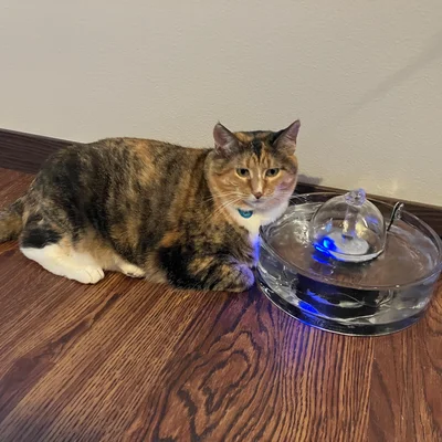 Sophie lying beside a glass water fountain glowing with blue light.